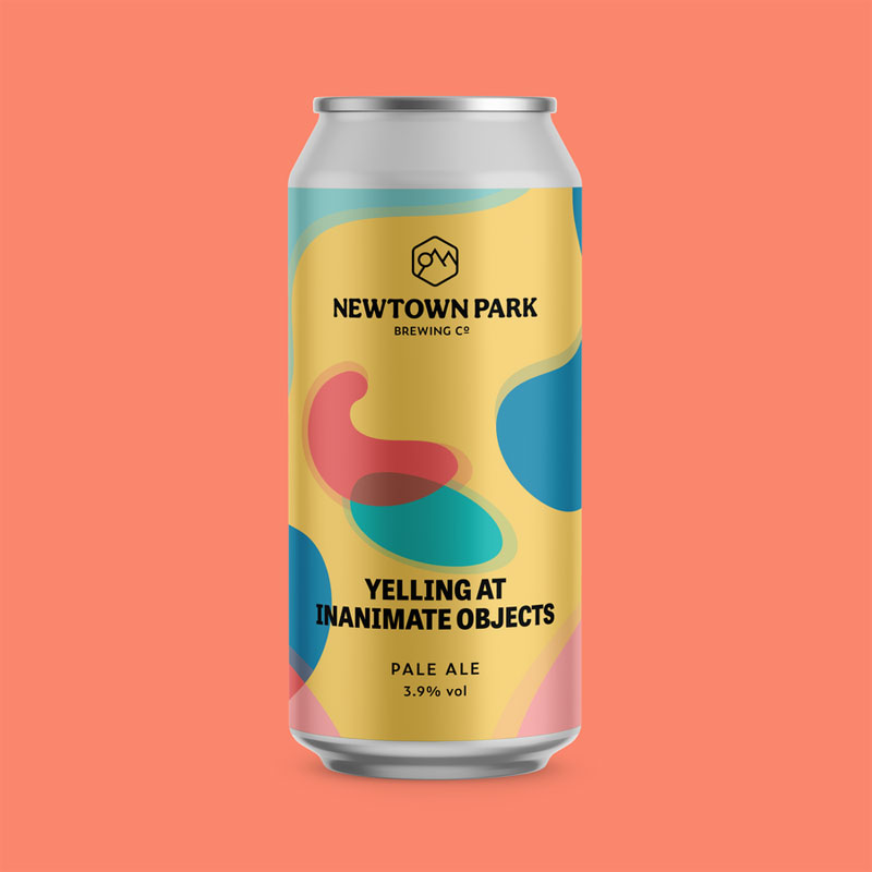 Newtown Park Yelling At Inanimate Objects 440ml Cans