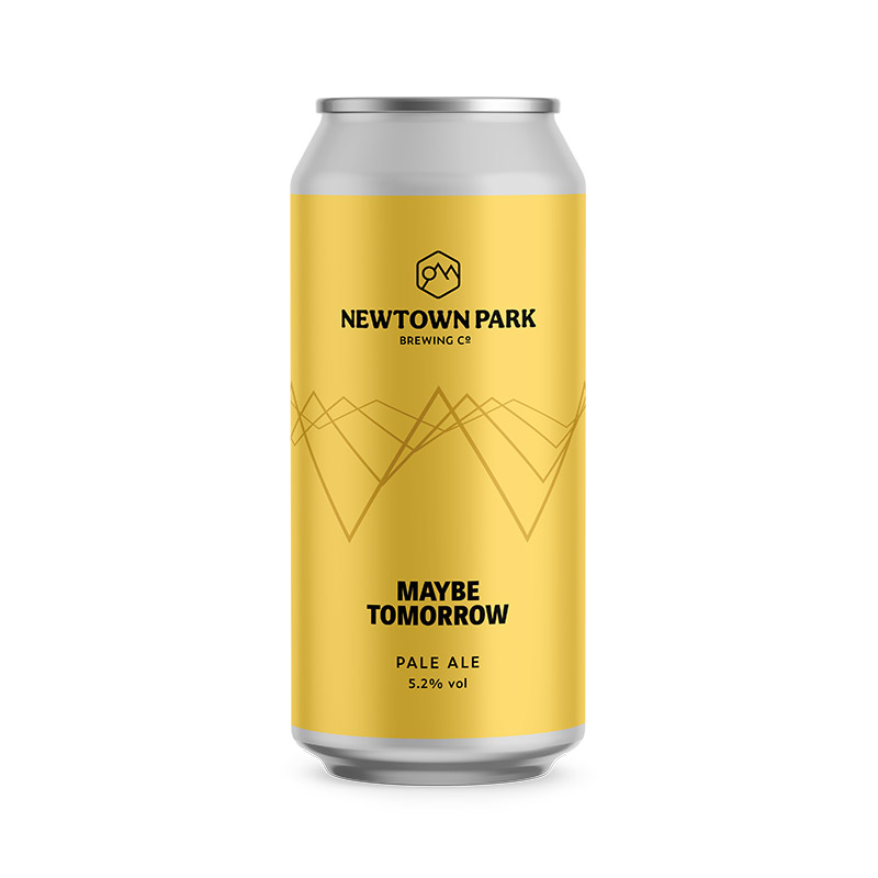 Newtown Park Maybe Tomorrow 440ml Cans