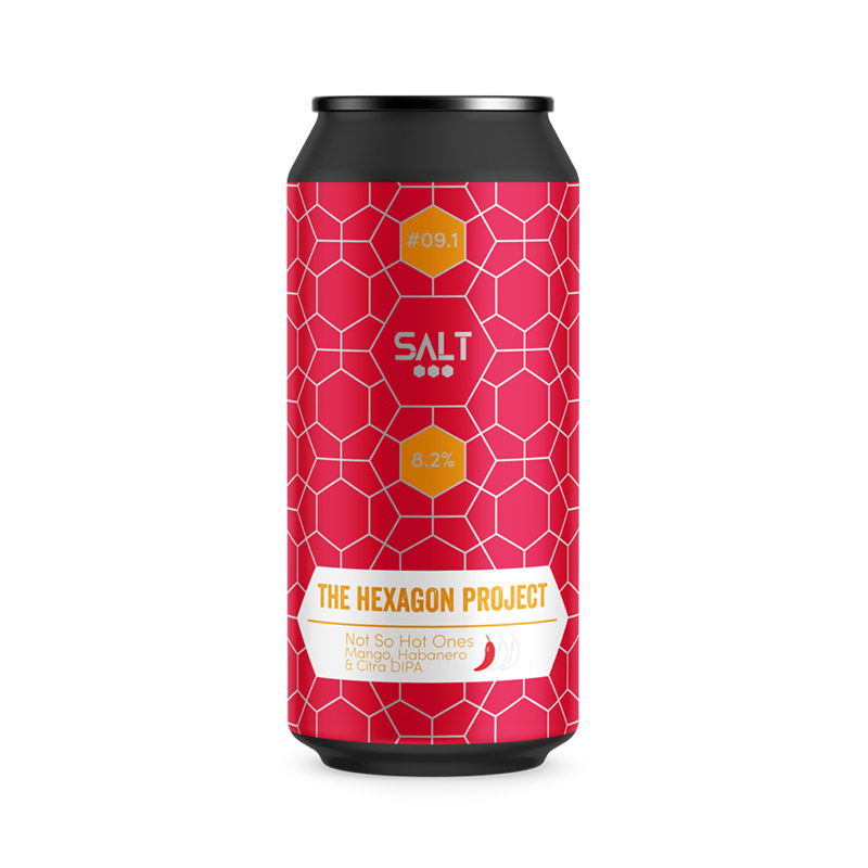 Salt Brew Co Not So Hot Ones 440ml Cans