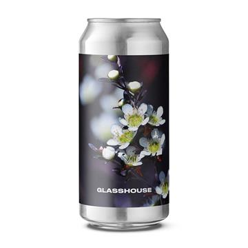 GlassHouse Tantoon 440ml Cans