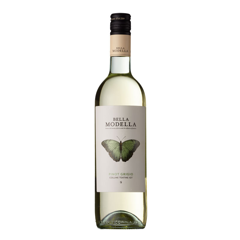 Bella Modella Pinot Grigio