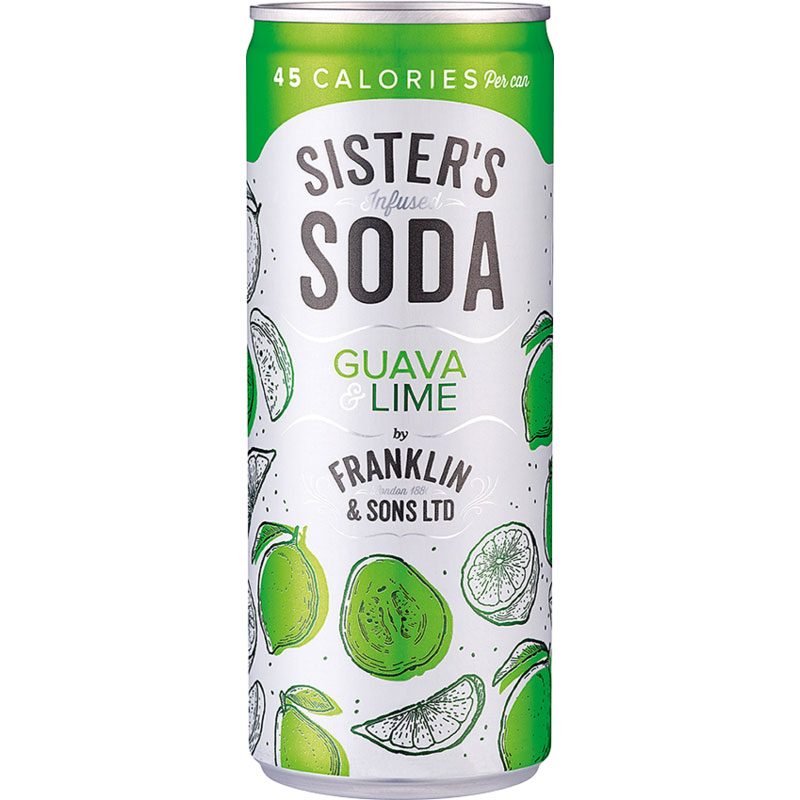 Franklin & Son Lime & Ginger Soda