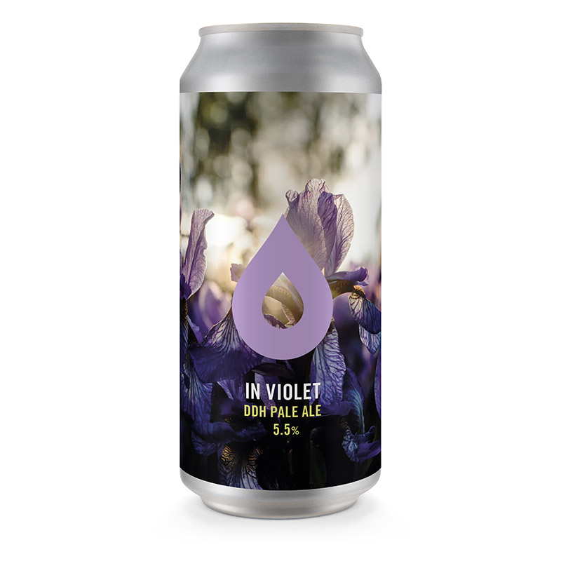 Polly's Brew Co In Violet 440ml Cans