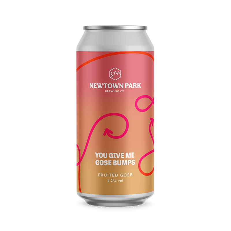 Newtown Park You Give Me Gosebumps 440ml Cans