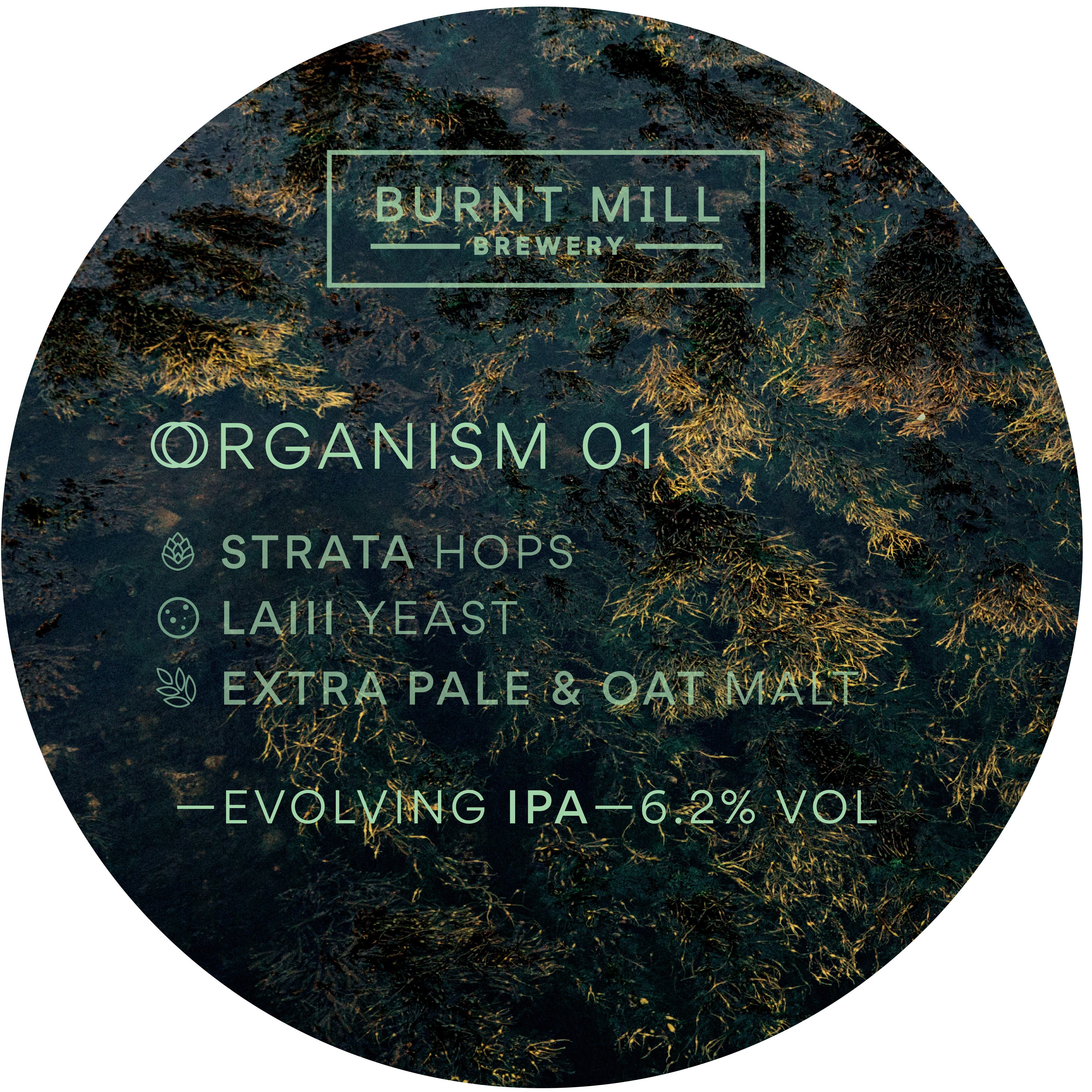 Burnt Mill Organism 01 New England IPA 30L Keg