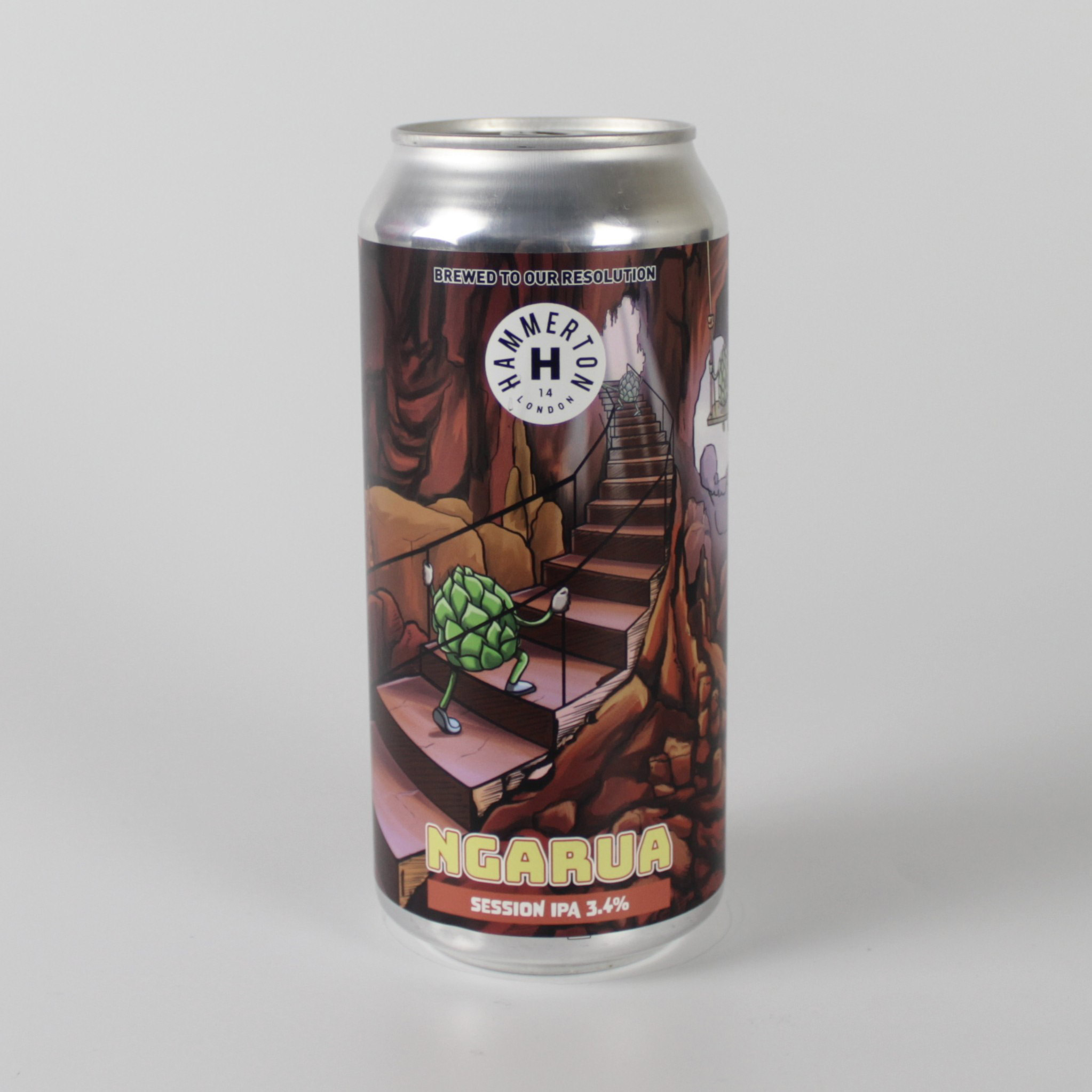 Hammerton NGARUA Cans