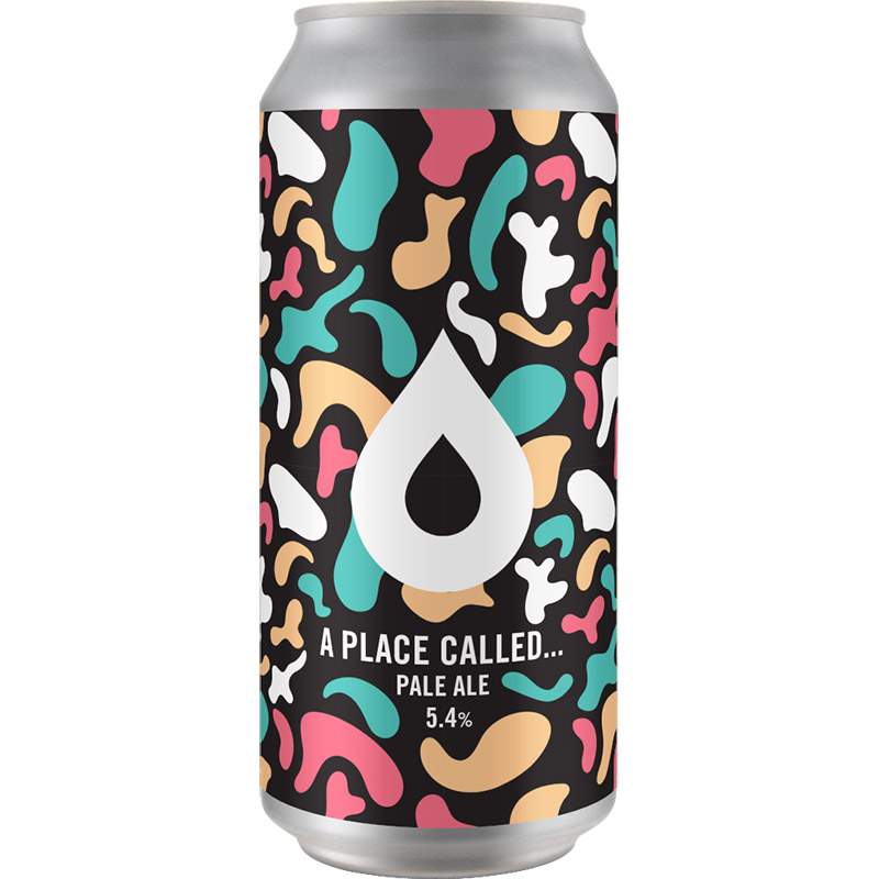 Polly's A Place Called Pale Ale 440ml Cans