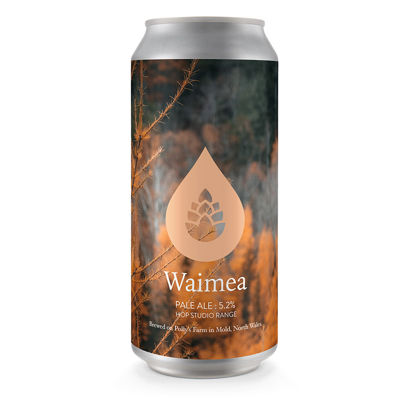Pollys Waimea Hop Studio Pale Ale 440ml Cans
