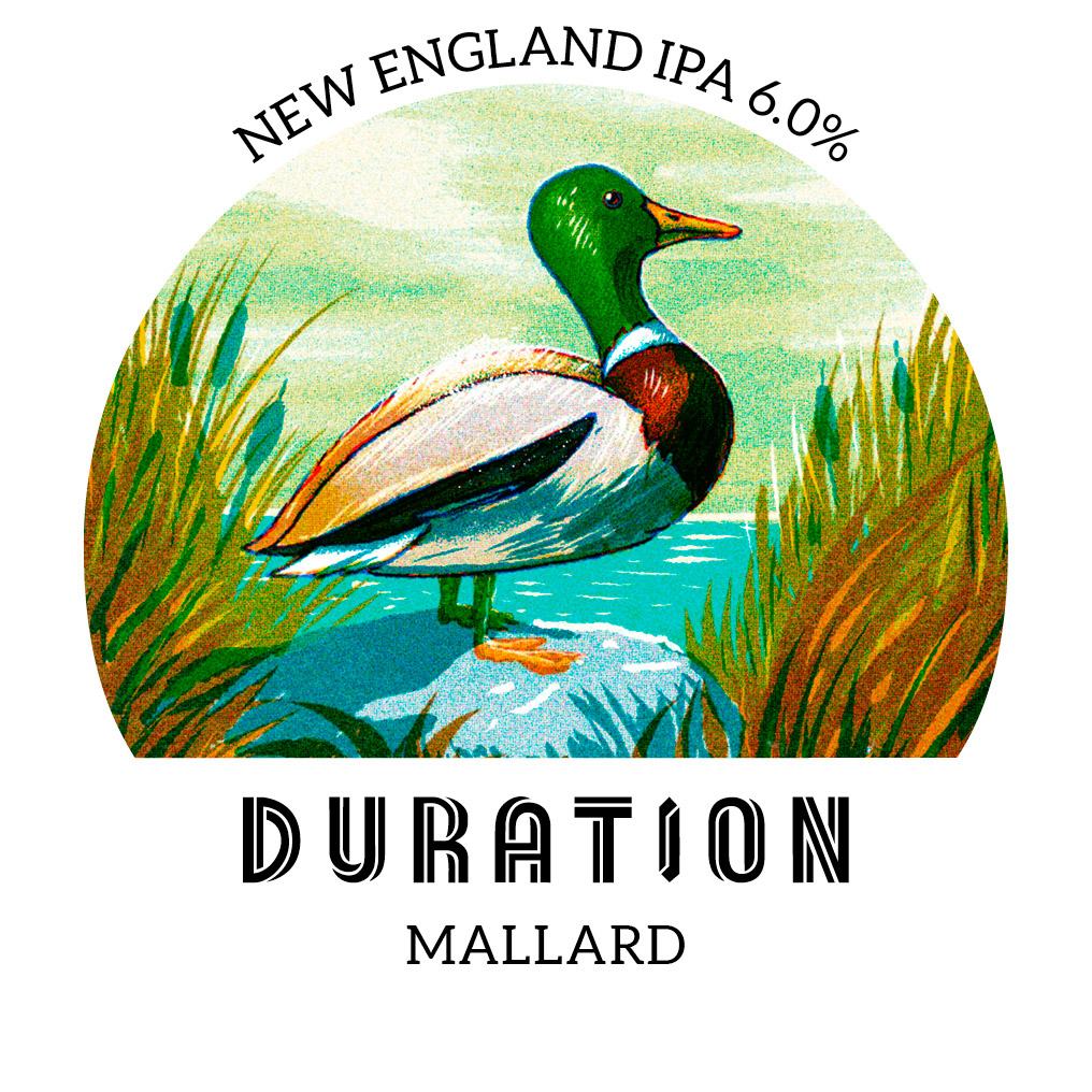 Duration Mallard IPA 30Ltr Keg