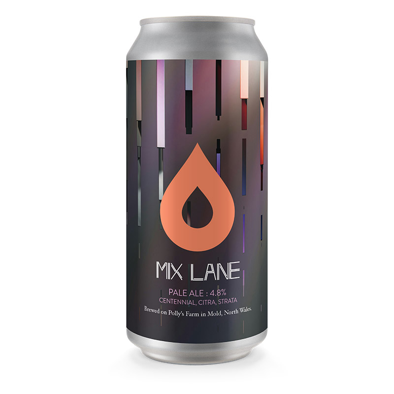 Polly's Mix Lane Pale Ale 440ml Cans
