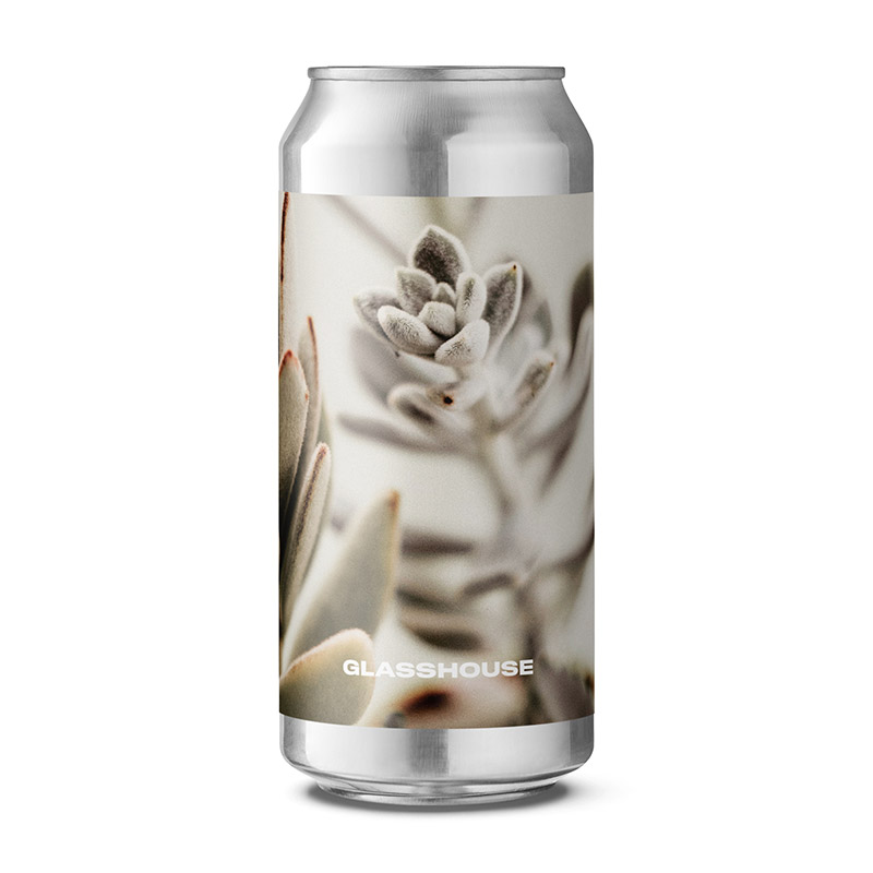 Glasshouse Shopping For House Plants IPA Cans