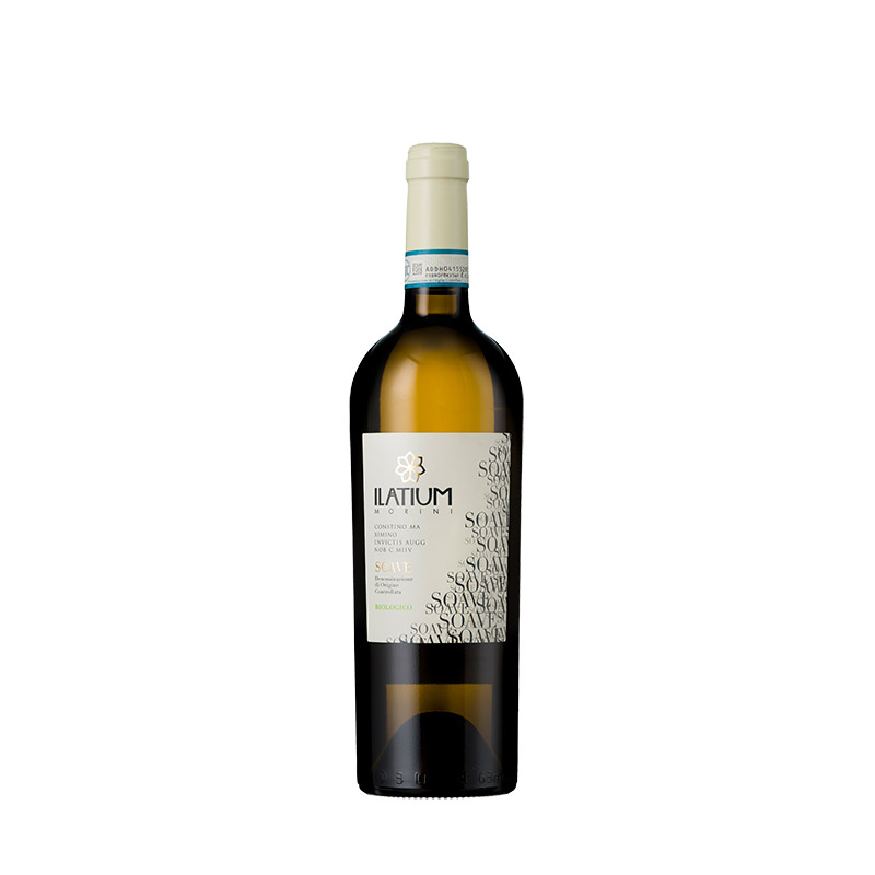 ILatium Morini Soave DOC