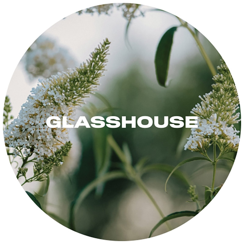 Glasshouse Buddleia Pale Ale Keg