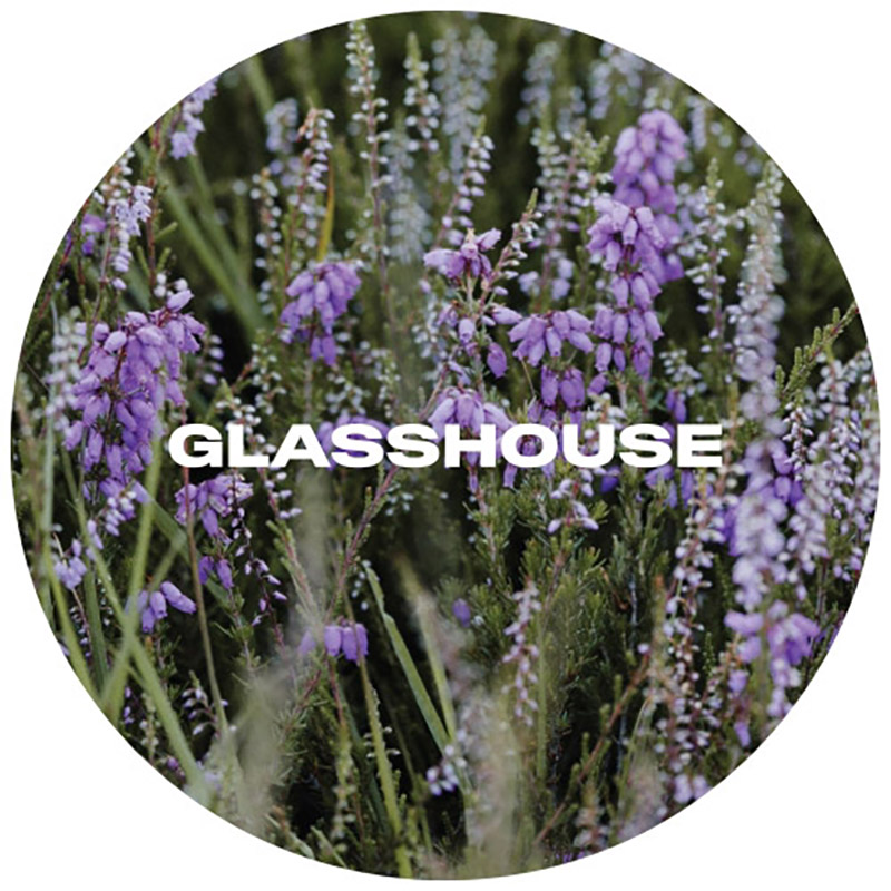 Glasshouse Calluna Pale Ale Keg