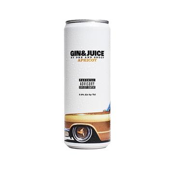 Gin & Juice Apricot 250ml