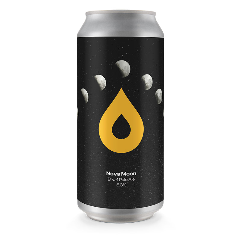 Pollys Nova Moon Bru-1 Pale Ale Cans