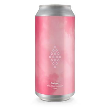 Polly's Fruited Saison Cans