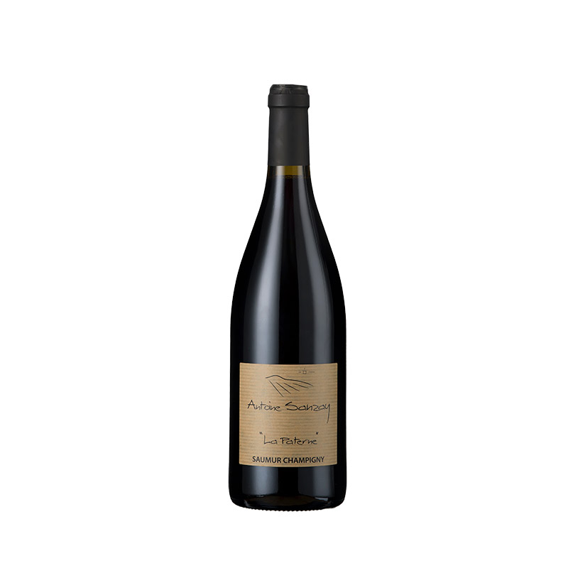 Antoine Sanzay Saumur Champigny Rouge 'La Paterne'