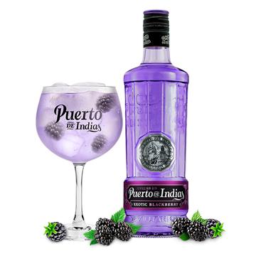 Puerto de Indias Blackberry Gin