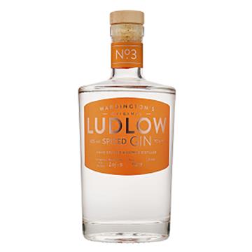 No.3 Ludlow Spiced Gin